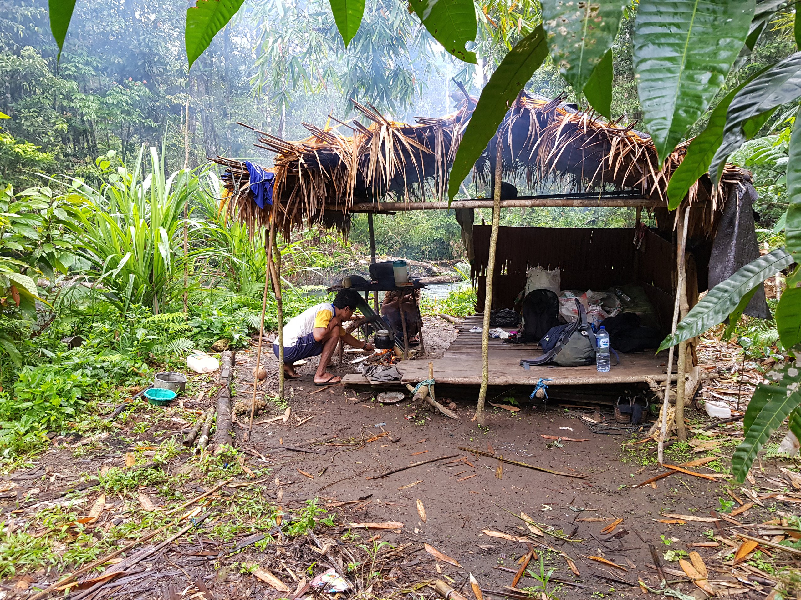 Befak, a traditional Togutil house with a roof made of palm leaves.