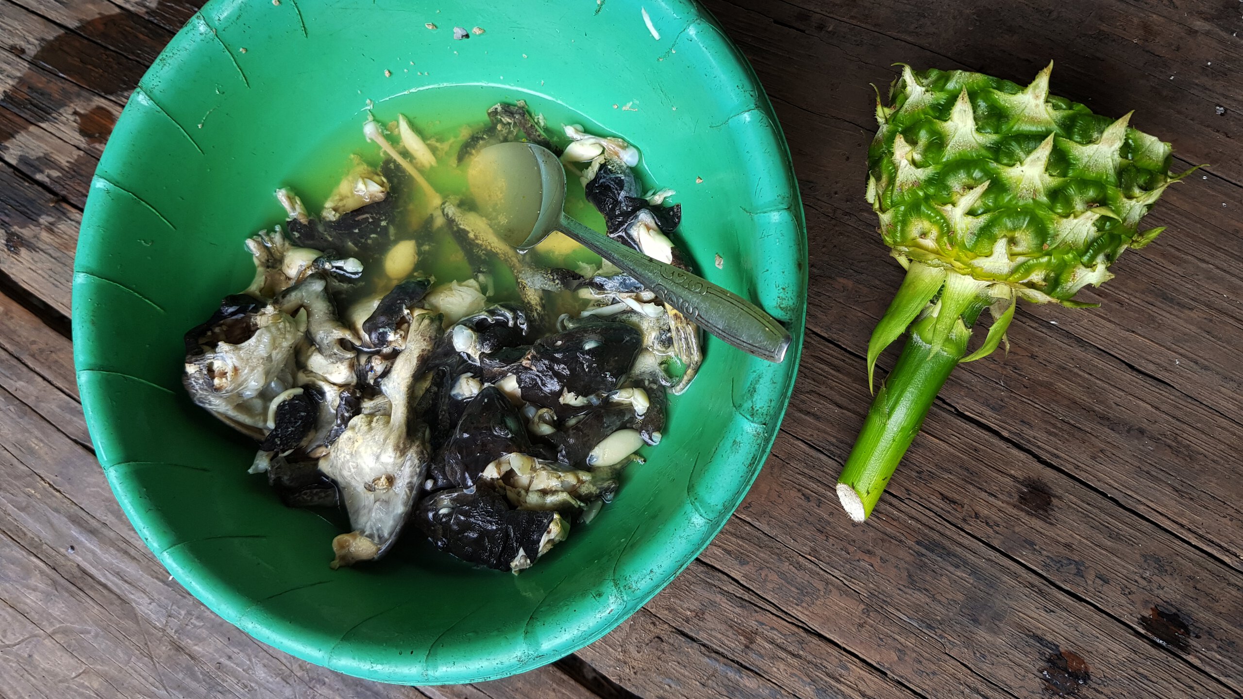 A jungle breakfast (and supper): frogs, rice, instant noodles, and a pineapple. Instant noodles are truly disgusting.