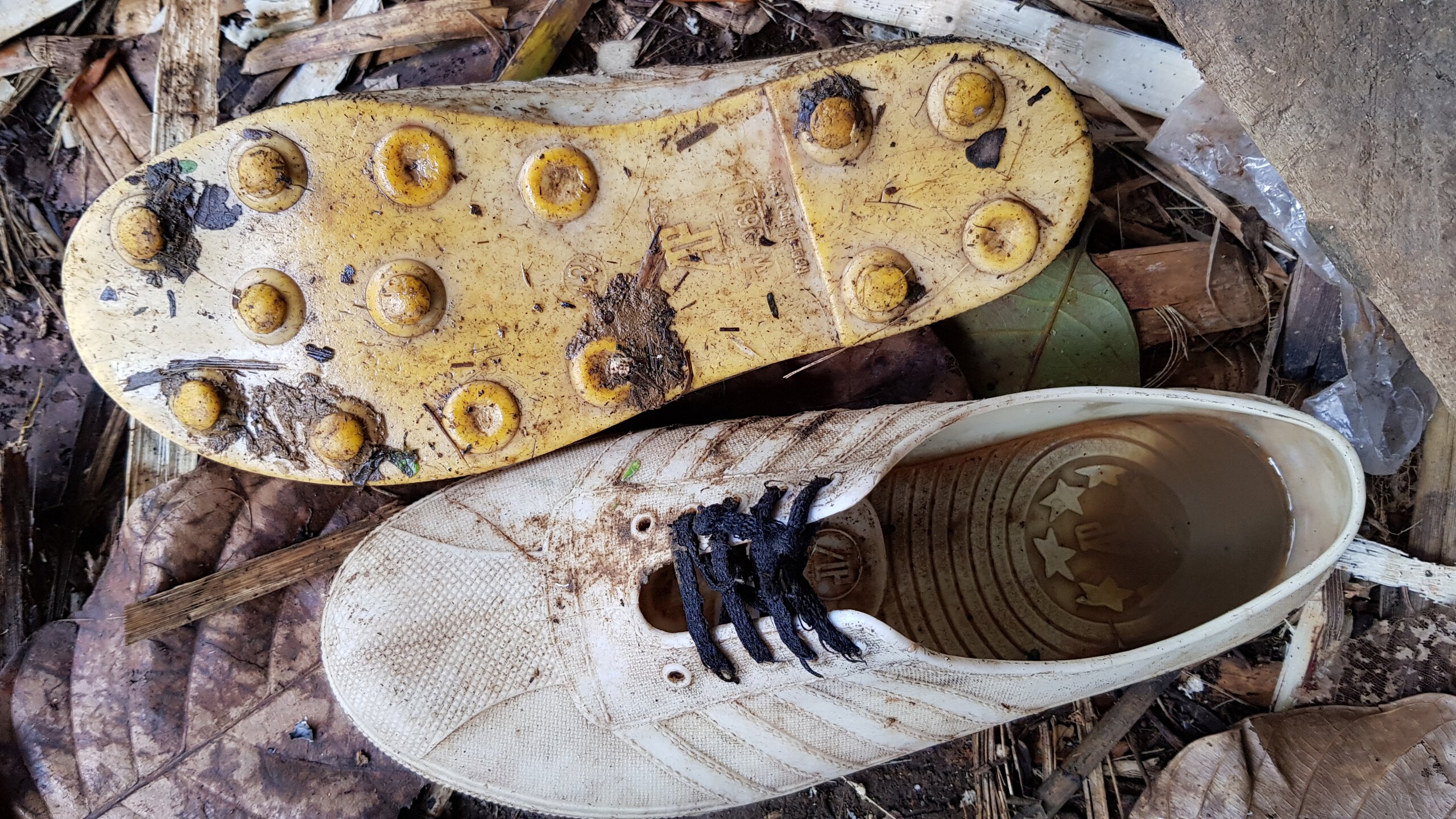 The best footwear for a jungle trip, if your size is available. The sole pattern is not as dense as that of typical hiking shoes, so clay do not stick as firmly. Wading rivers and creeks for hours is not a problem.