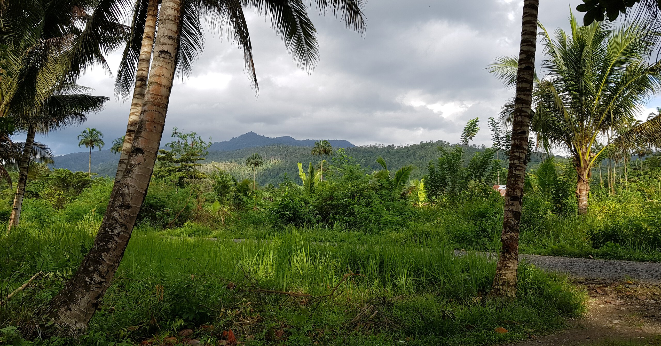 The starting point of our trip to the Togutil place in Subaim. The destination lies beyond the low mountain range in the background.