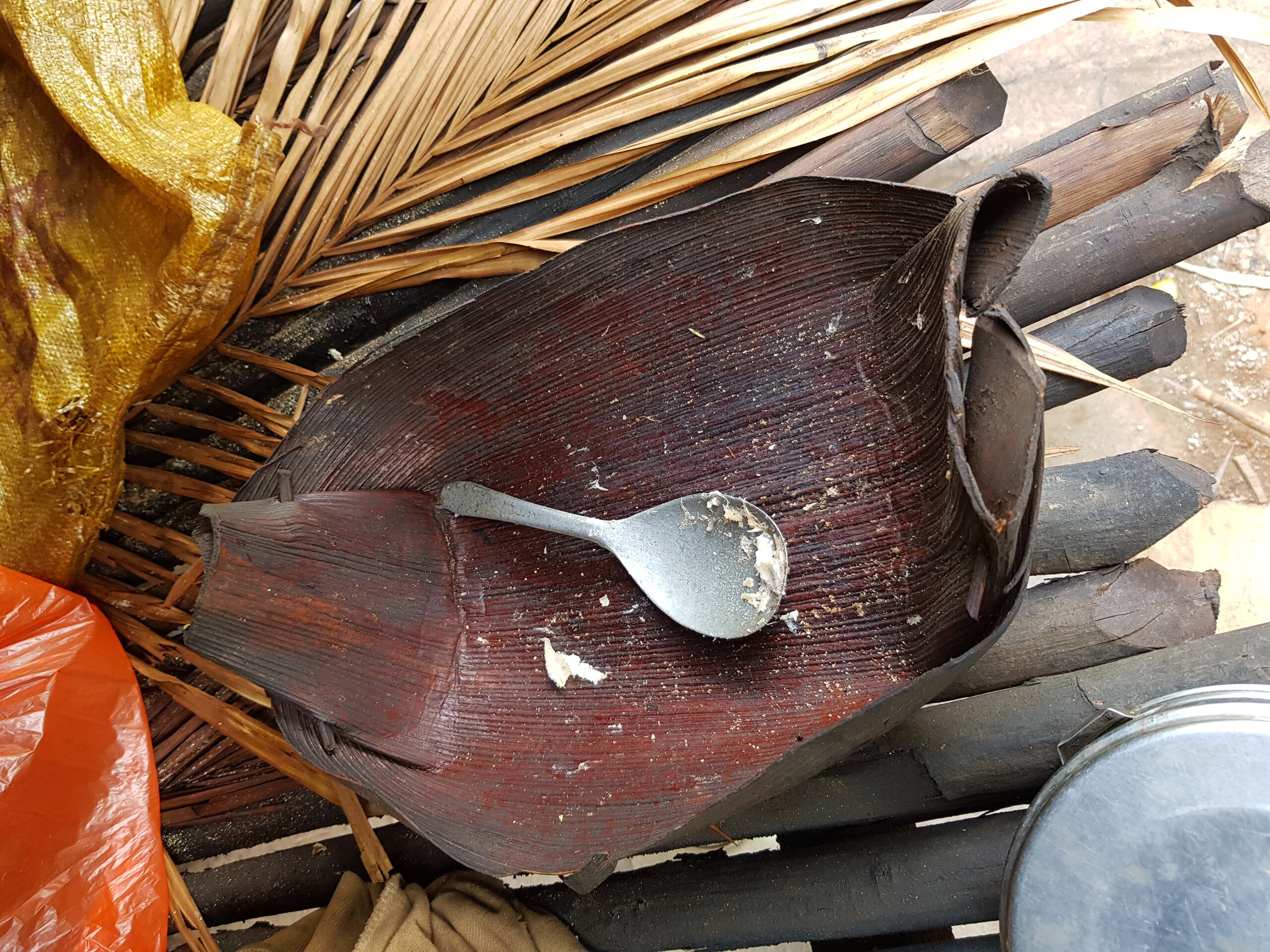 A traditional Togutil bowl made of a single palm leaf.